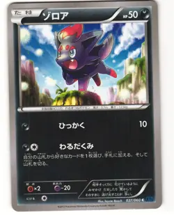Zorua Common Pokemon TCG X Collection 037/060 (XY1) MP - Image 1