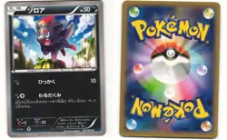 Zorua Common Pokemon TCG X Collection 037/060 (XY1) MP - Image 3