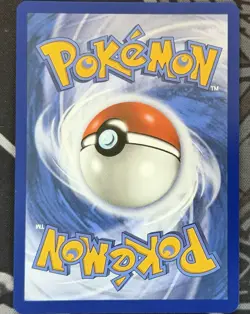 Pokemon 2026 First Partner Illustration Collection Series 1 Promos Set 9 Cards - Image 4