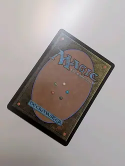 MTG - Forest 0278 (Foil) - Bloomburrow NM/M Condition - Image 3