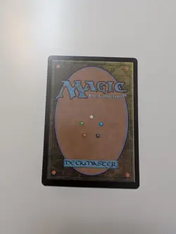 MTG - Forest 0278 (Foil) - Bloomburrow NM/M Condition - Image 4