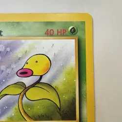 Bellsprout 49/64 - Jungle - 1st Edition - Pokemon TCG NM - Image 4