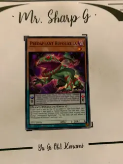 PREDAPLANT BUFOLICULA - 1st EDITION DIFO-EN018 ENGLISH Yu-Gi-Oh! CARD COMMON TCG - Image 2