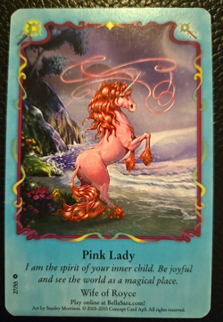 Bella Sara Pink Lady Card Single 27/55 Moonfairies Series Common - Image 2