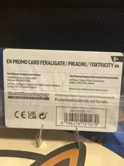 Pokemon TCG Illustration Contest 2024 Promo Cards - Sealed - Image 2