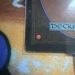 Taiga Revised Edition Regular - Image 3