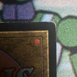 Taiga Revised Edition Regular - Image 5