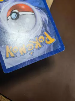 HP Torchic RC5/RC25 Holo Legendary Treasures: Radiant Collection Pokemon - Image 3