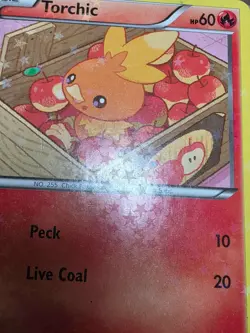 HP Torchic RC5/RC25 Holo Legendary Treasures: Radiant Collection Pokemon - Image 5
