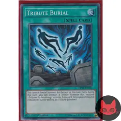 Yugioh Tribute Burial DPRP-EN010 Super Rare 1st Edition NM - Image 1