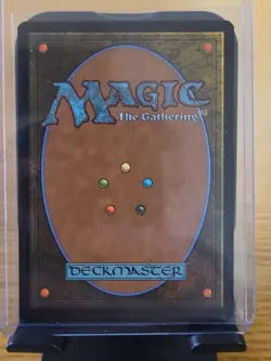 MTG Raphael, Most Attitude (Borderless) Teenage Mutant Ninja Turtles Foil - Image 2