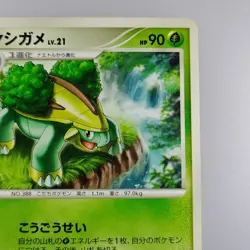 Grotle | 2007 034/DP-P Promo Pokemon card Pokemon TCG Nintendo Japanese Ver. - Image 2