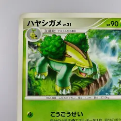 Grotle | 2007 034/DP-P Promo Pokemon card Pokemon TCG Nintendo Japanese Ver. - Image 3