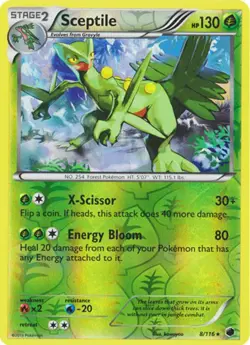 Slightly Played, English - 1 x Pokemon Sceptile - 8/116 - Holo Rare - Reverse Ho - Image 1