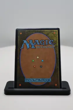 1x Verdant Catacombs Modern Horizons 2 (MH2) NM MTG Magic the Gathering - Image 3