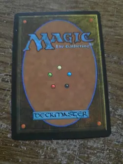 Snow-Covered Plains SIGNED By Christopher Rush Mtg Magic The Gathering - Image 2