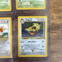Pokemon TCG Vintage Lot 9 Cards SHADOWLESS Base Set and Jungle LP or better! - Image 3
