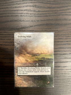 Evolving Wilds (Extended Altered Art, Acrylic Paint) - Image 1