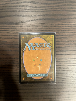 Evolving Wilds (Extended Altered Art, Acrylic Paint) - Image 2