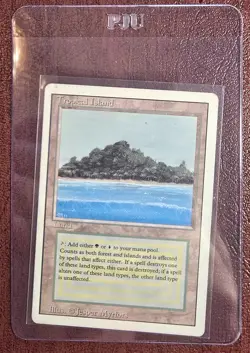 Tropical Island - MtG Revised/3rd Ed. - Rare LP/MP 1994 (c3) - Image 4