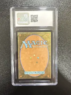 Omniscience Enchanting Tales WOT Anime Borderless 0070 CGS 10 Gem Mint - Image 2