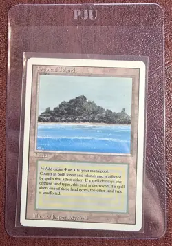 Tropical Island - MtG Revised/3rd Ed. - Rare LP/MP 1994 (c1) - Image 4