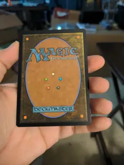 Magic The Gathering Raph & Mikey, Troublemakers Showcase Non-Foil #0250 TMNT MTG - Image 3