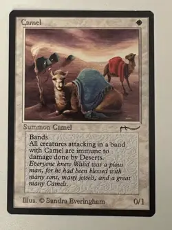 Magic the Gathering MTG Arabian Nights Camel MP (Beta Bob) - Image 1