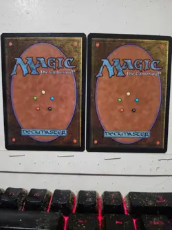 RAINBOW VALE -- MTG - FALLEN EMPIRES - NM - Image 2