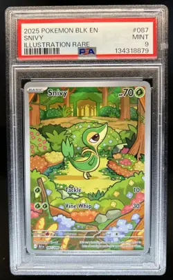2025 Pokemon Black Bolt Snivy Illustration Rare #087/086 PSA 9 - Image 1