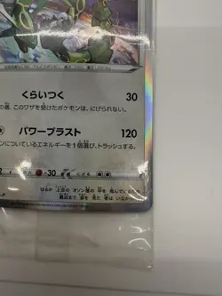 Pokemon Card 2019 Rayquaza 003/S-P Promo Sealed Holo 2 card in a Pack Japanese - Image 3