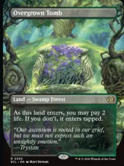 Overgrown Tomb (Borderless) - Lorwyn Eclipsed - NM - Rare - Land - Image 1