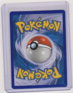 NM-MINT POKEMON Machamp Black Star Promo #43 Rare WOTC TCG Never Played - Image 2