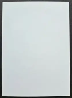 SIGNED MtG Magic Anson Maddocks _ Beta CE _ Artist Proof _ WALL OF BONE _ 1/50! - Image 3