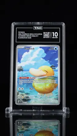 Psyduck - 226/217 - Ascended Heroes - Pokemon Card - Tag 10 Gem Mint - Image 1