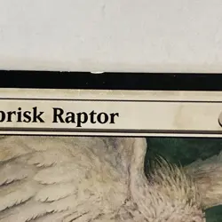Windbrisk Raptor 26 Shadowmoor Regular MTG TCG CARD LP - Image 2