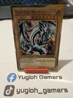 Yu-Gi-Oh Blue Eyes White Dragon MGED 1st Edition Gold Rare Light Played - Image 1