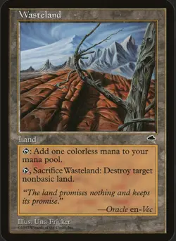 Wasteland Tempest Regular LP - Image 1