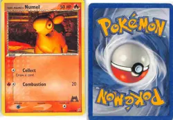 Team Magma's Numel 64/95 Common Team Magma vs Team Aqua Pokemon MP - Image 3