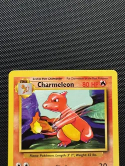 Pokemon TCG Charmeleon 24/102 Base Set Uncommon Near Mint 1999 WoTC Unlimited - Image 3