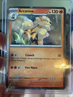 Arcanine #11 Cosmo Holo Promo Pokemon Scarlet & Violet 2023 - Image 1