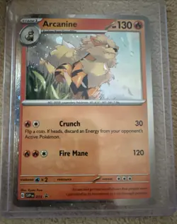 Arcanine #11 Cosmo Holo Promo Pokemon Scarlet & Violet 2023 - Image 2