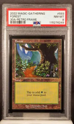 115276249 Forest 2022 Magic The Gathering 592 30A Retro Frame PSA 8 - Image 1
