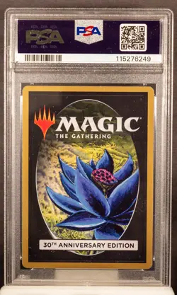 115276249 Forest 2022 Magic The Gathering 592 30A Retro Frame PSA 8 - Image 2