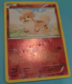 Pokemon Growlithe Next Destinies Reverse Holo Uncommon 11/99 HP80 2012 English - Image 2