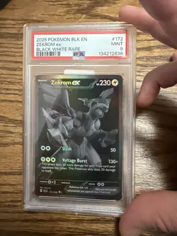 Pokemon TCG PSA 9 Mint Zekrom EX Black White Rare 2025 - Image 1