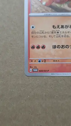Growlithe Promo 024/SV-P Pokemon Card Japanese - Image 5