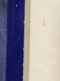 Pokemon Pikachu Libre Card 14/30 XY Trainer Kit Basic 80HP Thunder Regular 2016 - Image 4