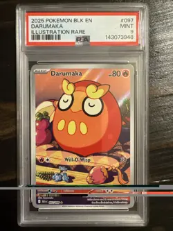 Pokemon TCG Darumaka 097/086 Illustration Rare Black Bolt PSA 9 - Image 1