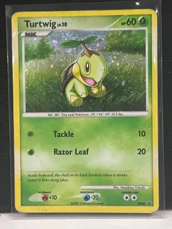 Pokemon TCG Turtwig DP Black Star Promotional DP01 Holo Promo- HP - Image 1